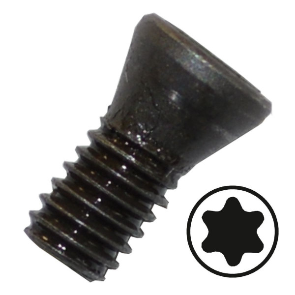 Schwalbenschwanzfräser Spannschraube